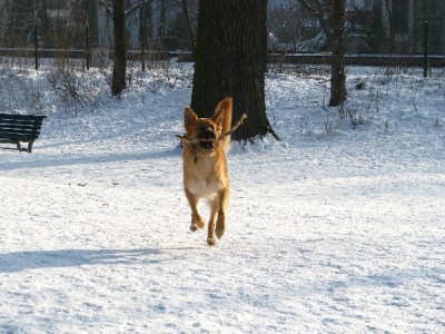 2010 02 17 002.jpg