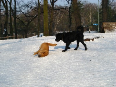 2010 02 17 007.jpg