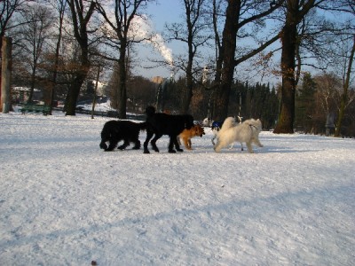2010 02 17 010.jpg