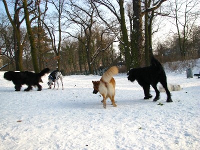 2010 02 17 015.jpg