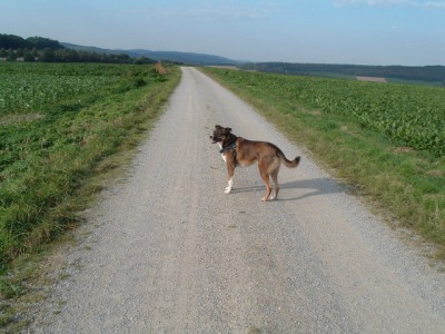 DSCF2235.JPG