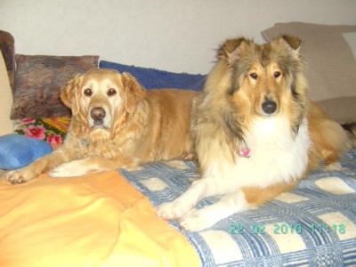 Bild 017.jpg