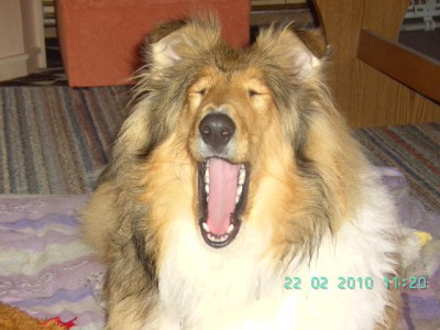 Bild 064.jpg