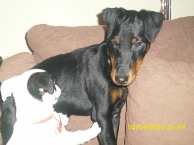 jacky 020.jpg