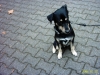 Bilder%20dyck%20park%20003.jpg
