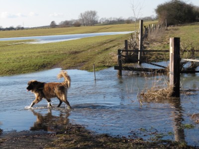 hochwasser.JPG