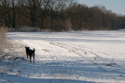 SV400018.JPG