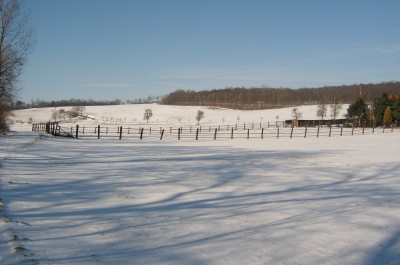 SV400011.JPG