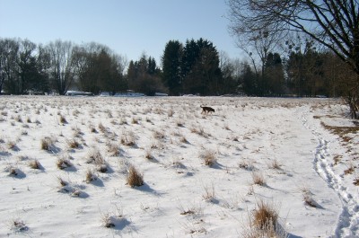 SV400037.JPG
