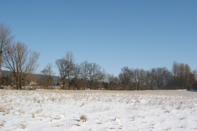 SV400040.JPG