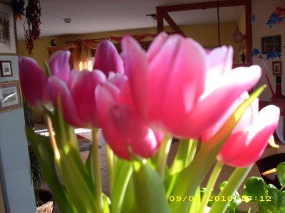 schicke frühlingsgefühle 009.jpg