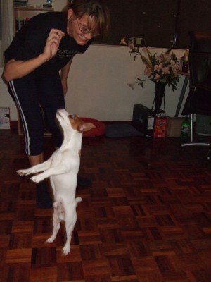 DSCF0084.jpg (887.7 KiB) 3502 mal betrachtet Toby tanzt und springt zugleich :)