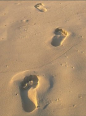 spuren-im-sand.jpg