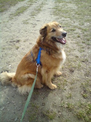 DSC00265_.JPG (158.71 KiB) 3366-mal betrachtet DSC00265_.JPG