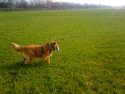 photo2.jpg (178.46 KiB) 3390-mal betrachtet photo2.jpg