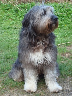 DSC02979 - Kopie.JPG