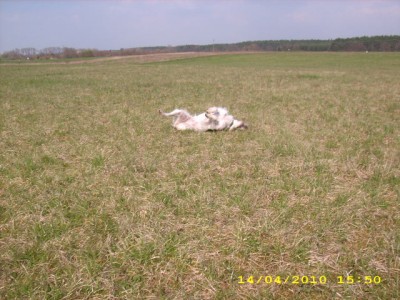 ein frühlingstag mit  meinen 2 2010 016.jpg