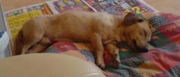 DSC01428.JPG