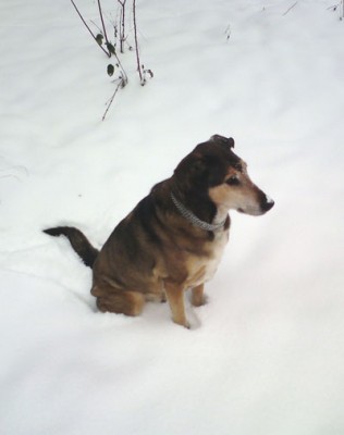 2010-schnee-flo2.jpg