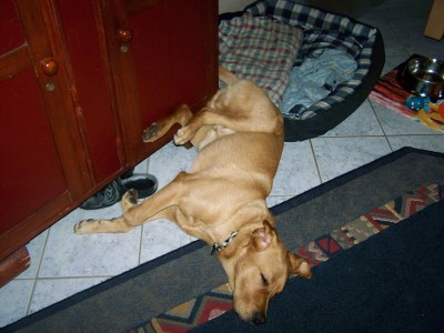 20112009_07.jpg