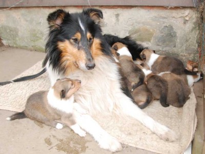 2010_04_21_auf_der_Terrasse_DSC_7348.jpg (48.21 KiB) 3429-mal betrachtet 2010_04_21_auf_der_Terrasse_DSC_7348.jpg