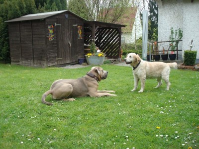 DSC03139 - Kopie.JPG (332.57 KiB) 3597-mal betrachtet DSC03139 - Kopie.JPG