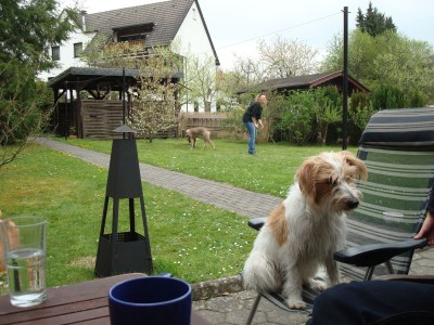 DSC03141 - Kopie.JPG (271.23 KiB) 3693-mal betrachtet DSC03141 - Kopie.JPG