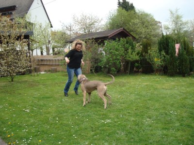 DSC03153 - Kopie.JPG (231.74 KiB) 3595-mal betrachtet DSC03153 - Kopie.JPG