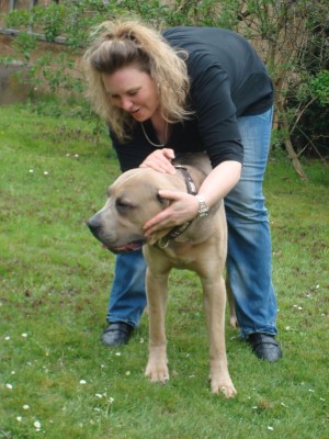 DSC03156 - Kopie.JPG (176.55 KiB) 3594-mal betrachtet DSC03156 - Kopie.JPG