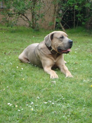 DSC03159 - Kopie.JPG (223.64 KiB) 3598-mal betrachtet DSC03159 - Kopie.JPG