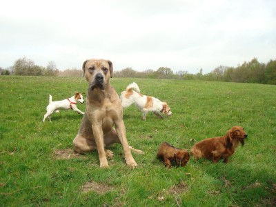 DSC03122 - Kopie.JPG (244.95 KiB) 3597-mal betrachtet DSC03122 - Kopie.JPG