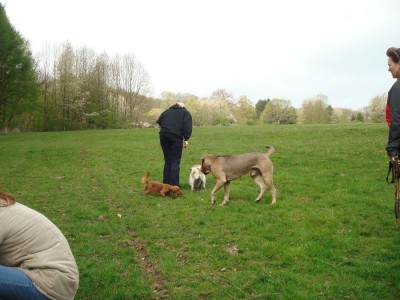 DSC03125 - Kopie.JPG (243.15 KiB) 3597-mal betrachtet DSC03125 - Kopie.JPG