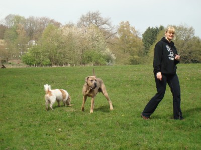 DSC03126 - Kopie.JPG (272.2 KiB) 3605-mal betrachtet DSC03126 - Kopie.JPG