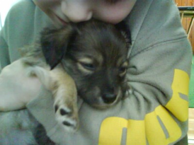 ABCD0016.JPG (42.36 KiB) 3778-mal betrachtet ABCD0016.JPG