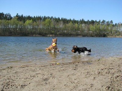 strand_1.jpg