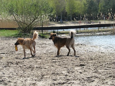 strand_3.jpg