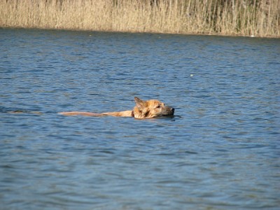 strand_5.jpg