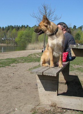 strand_6.jpg