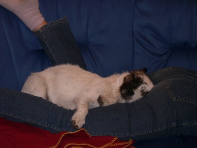 DSCN0906.JPG
