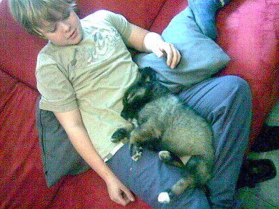 Bild051.jpg (148.73 KiB) 3966-mal betrachtet Bild051.jpg