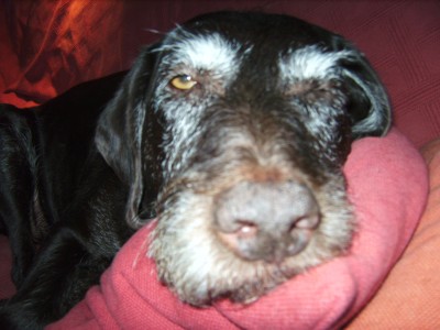 BILD0442.JPG