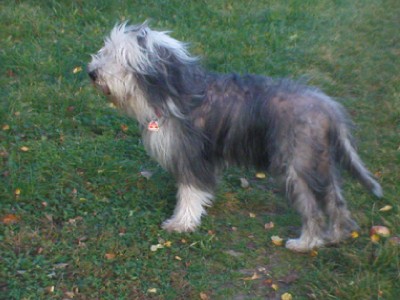 fletcher10.08.JPG