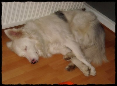 DSCN1408.JPG