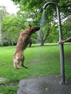 dusche_1.jpg