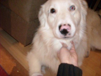 DSCN0539.JPG (59.9 KiB) 3526-mal betrachtet DSCN0539.JPG