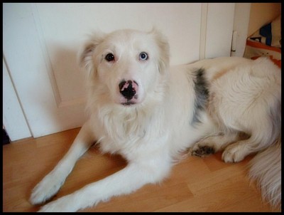 DSCN1212.JPG (253.78 KiB) 3527-mal betrachtet DSCN1212.JPG