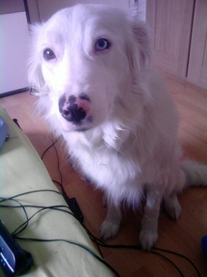 P020610_15.33.jpg (78.44 KiB) 3529-mal betrachtet P020610_15.33.jpg