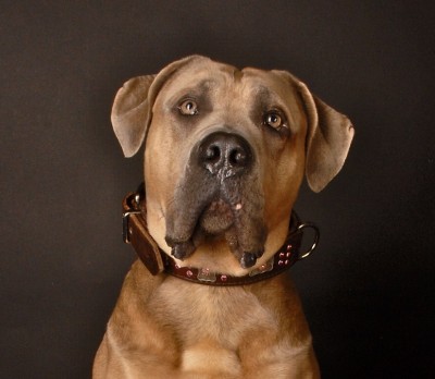 DSC_4203(1) - Kopie.jpg (111.21 KiB) 3526-mal betrachtet DSC_4203(1) - Kopie.jpg