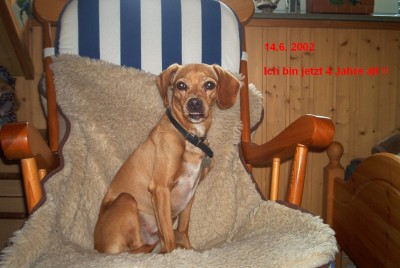 Kessy4Jahre.jpg