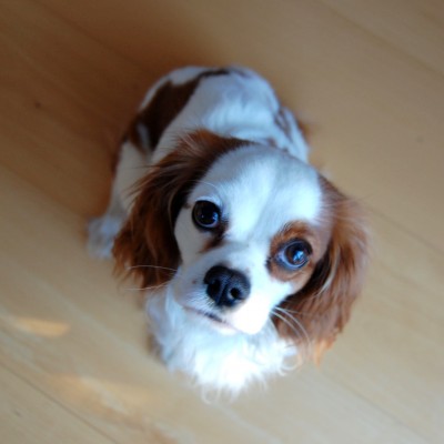 DSC_0242-2.JPG (916.2 KiB) 1949-mal betrachtet DSC_0242-2.JPG